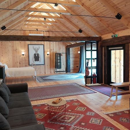 Villa Nica Wood à Sremska Kamenica Extérieur photo