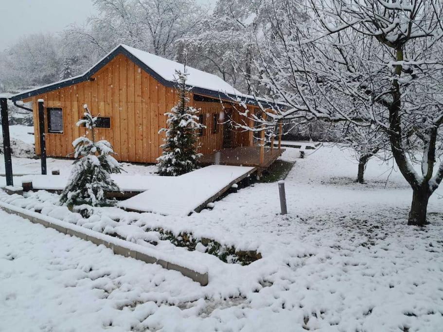 Villa Nica Wood à Sremska Kamenica Extérieur photo