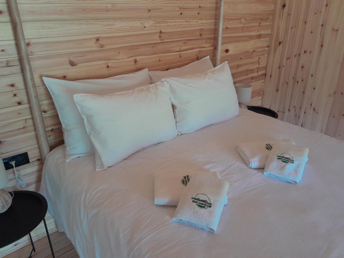 Villa Nica Wood à Sremska Kamenica Extérieur photo