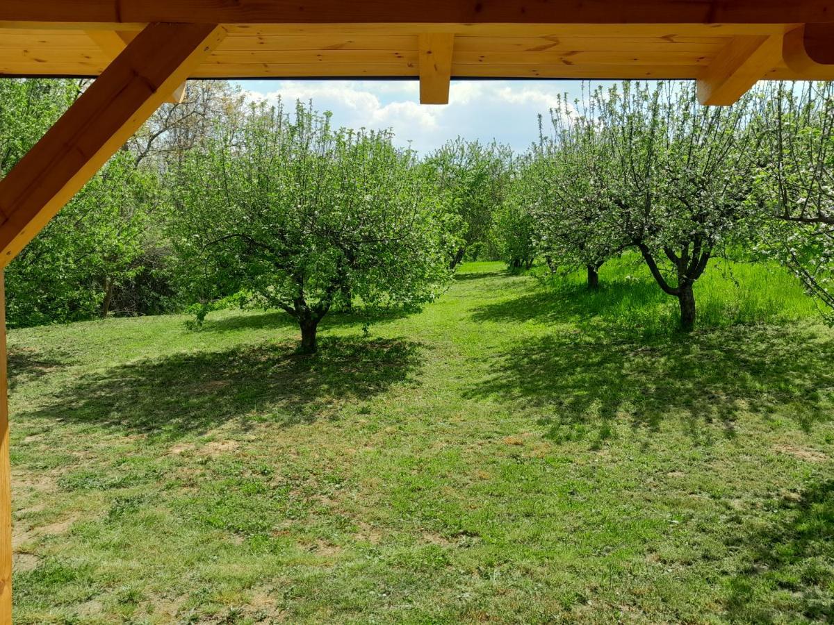 Villa Nica Wood à Sremska Kamenica Extérieur photo