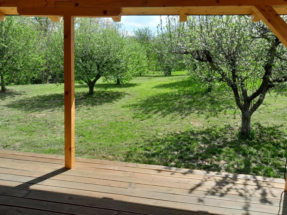 Villa Nica Wood à Sremska Kamenica Extérieur photo