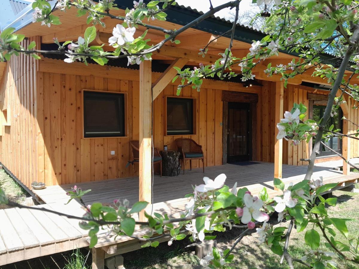 Villa Nica Wood à Sremska Kamenica Extérieur photo