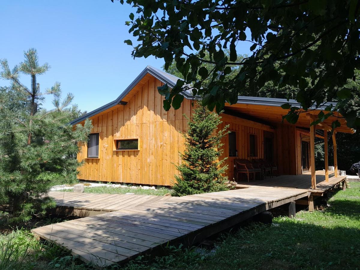 Villa Nica Wood à Sremska Kamenica Extérieur photo