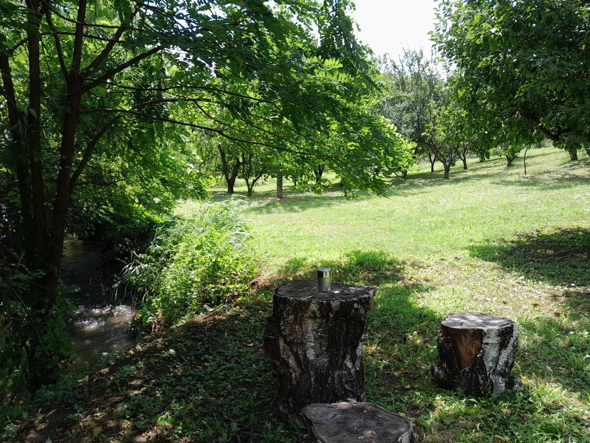 Villa Nica Wood à Sremska Kamenica Extérieur photo