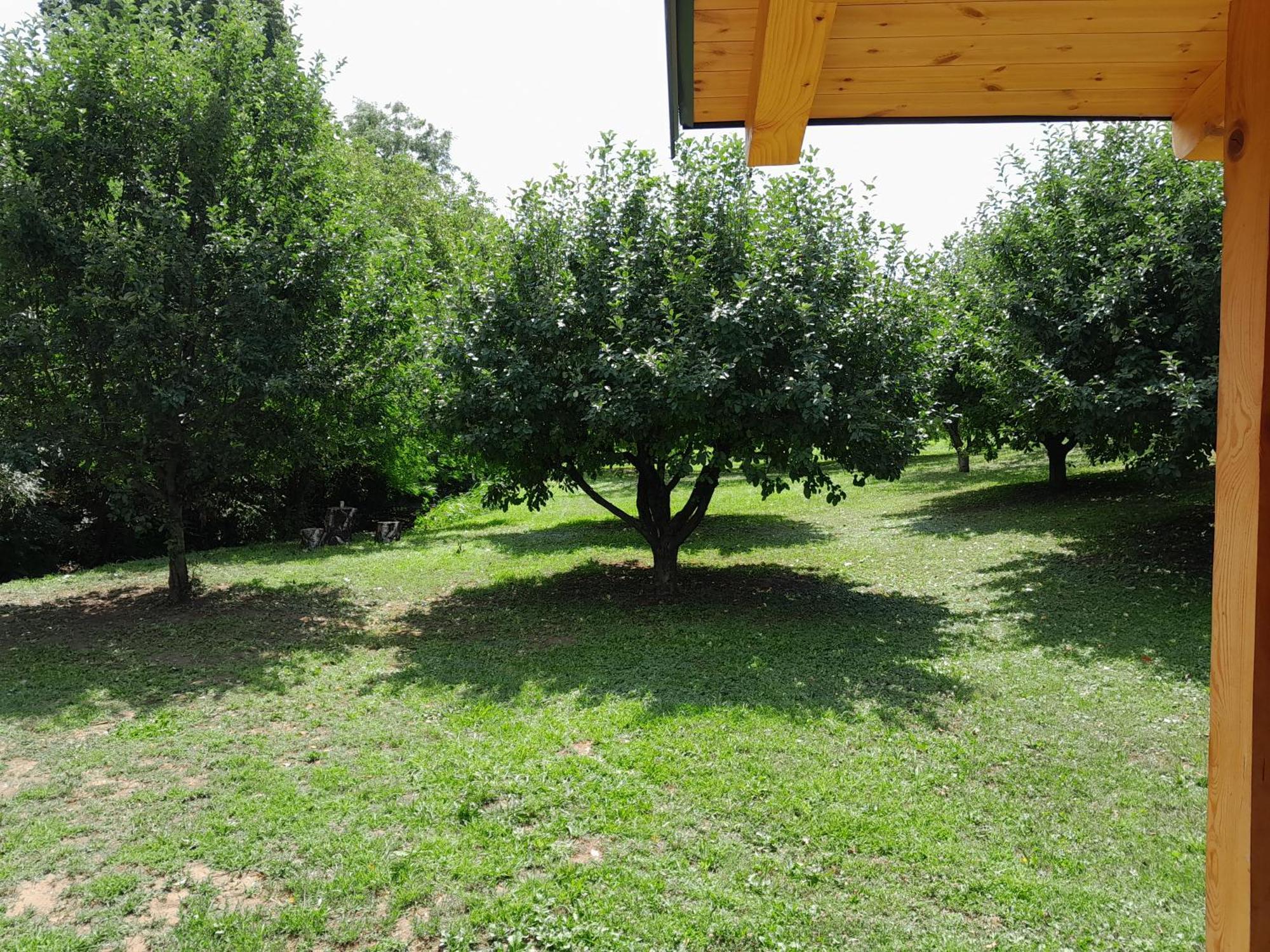 Villa Nica Wood à Sremska Kamenica Extérieur photo