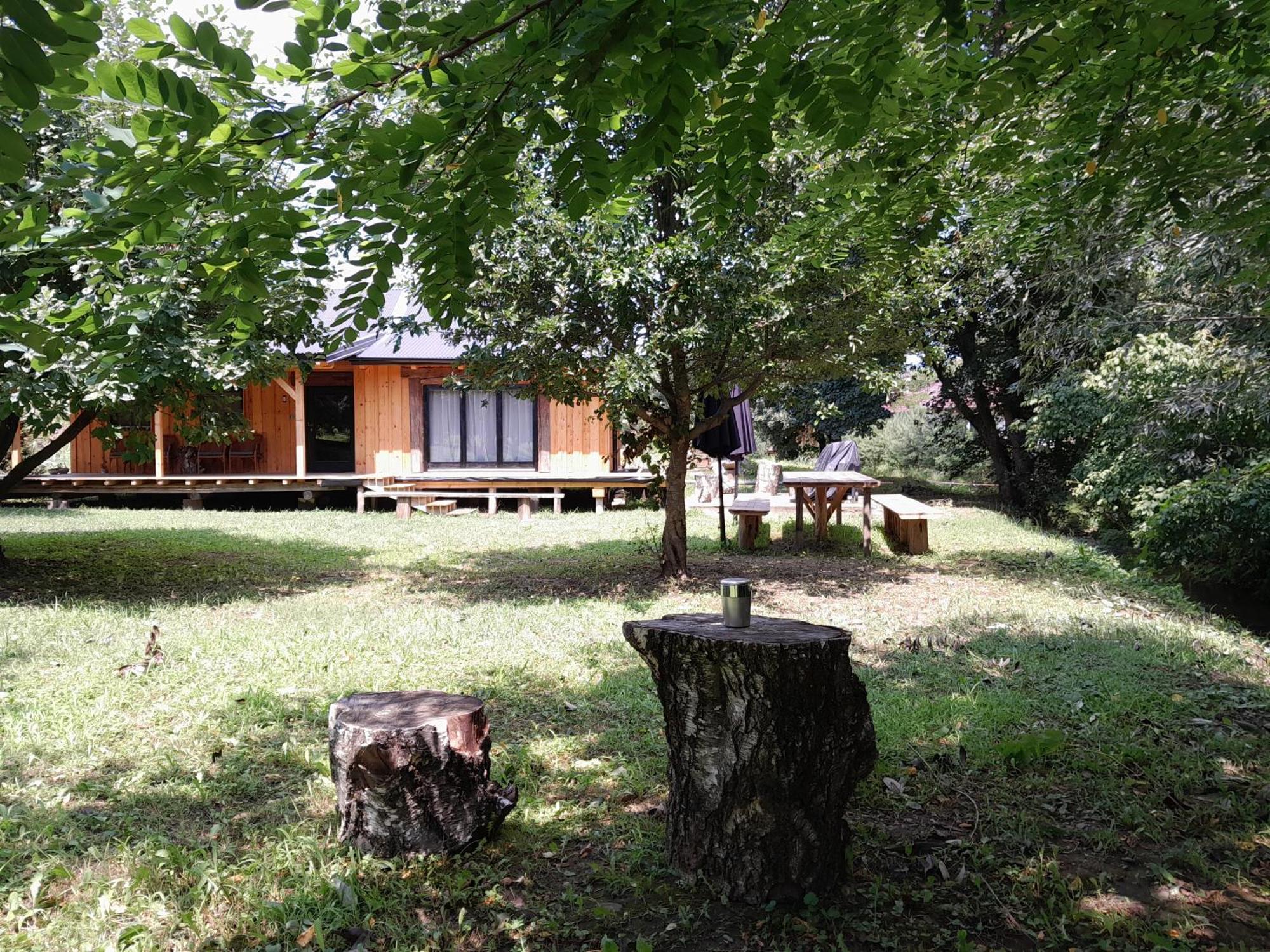 Villa Nica Wood à Sremska Kamenica Extérieur photo